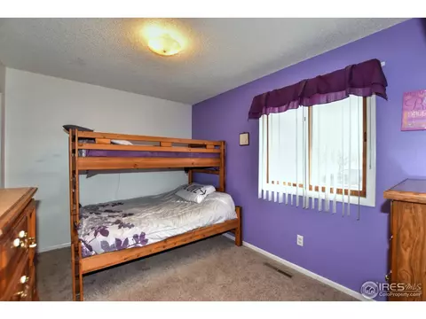 1110 Nantucket St, Windsor, CO 80550 photo 19