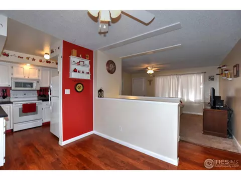 1110 Nantucket St, Windsor, CO 80550 photo 11