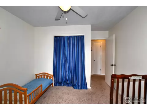 1110 Nantucket St, Windsor, CO 80550 photo 22