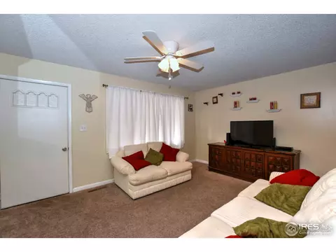 1110 Nantucket St, Windsor, CO 80550 photo 8