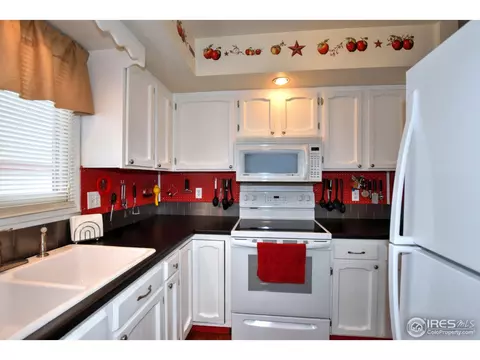 1110 Nantucket St, Windsor, CO 80550 photo 13