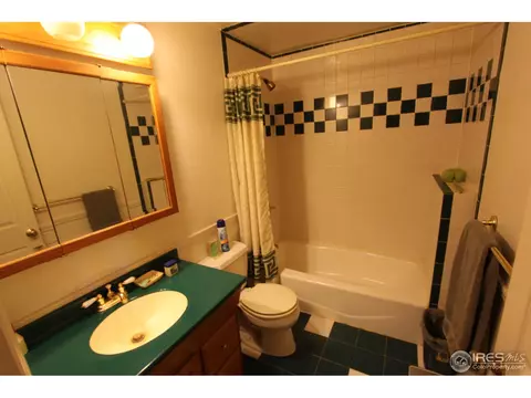 30 Ash St, Windsor, CO 80550 photo 8