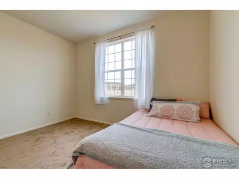1930 E 101st Ct, Thornton, CO 80229 photo 29