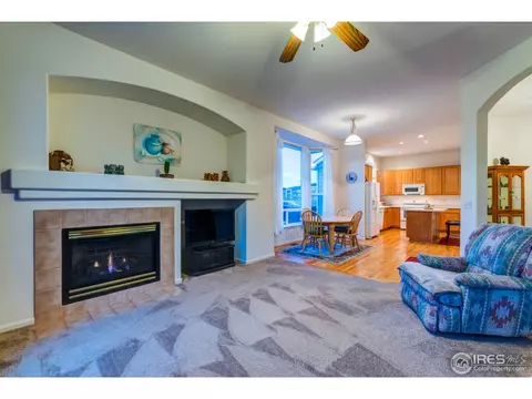 1930 E 101st Ct, Thornton, CO 80229 photo 16