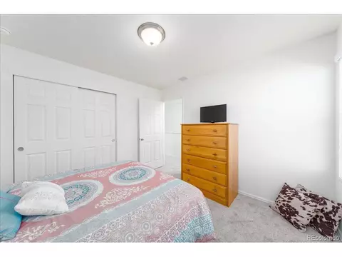 416 Harrow St, Severance, CO 80550 photo 18