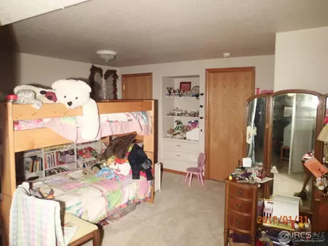 13804 Eudora St, Thornton, CO 80602 photo 23