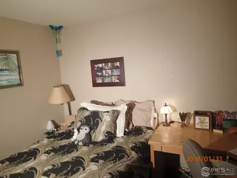 13804 Eudora St, Thornton, CO 80602 photo 17