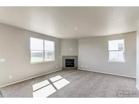 2269 Stonefish Dr, Windsor, CO 80550 photo 4