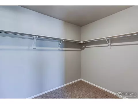 2269 Stonefish Dr, Windsor, CO 80550 photo 22