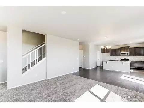 2269 Stonefish Dr, Windsor, CO 80550 photo 7