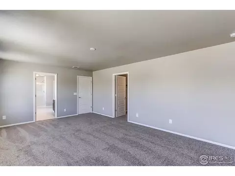 2269 Stonefish Dr, Windsor, CO 80550 photo 18