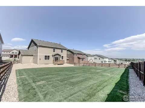 2269 Stonefish Dr, Windsor, CO 80550 photo 26