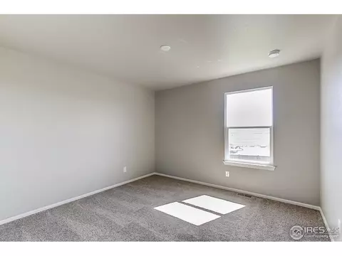 2269 Stonefish Dr, Windsor, CO 80550 photo 21