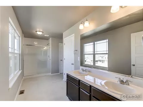 2269 Stonefish Dr, Windsor, CO 80550 photo 17