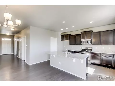 2269 Stonefish Dr, Windsor, CO 80550 photo 9