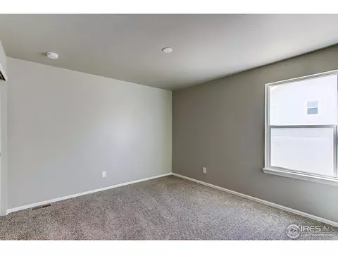 2269 Stonefish Dr, Windsor, CO 80550 photo 25