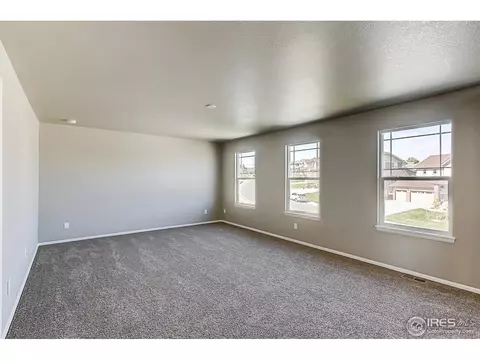 2269 Stonefish Dr, Windsor, CO 80550 photo 19