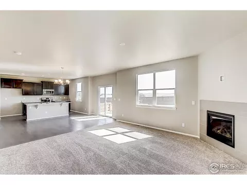 2269 Stonefish Dr, Windsor, CO 80550 photo 5