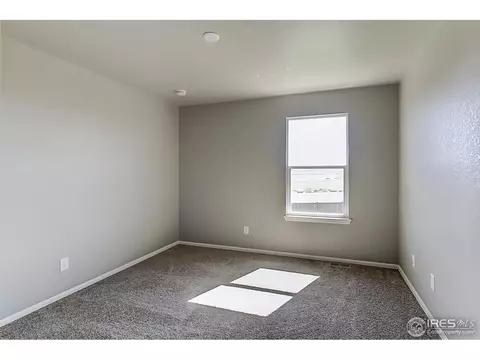2269 Stonefish Dr, Windsor, CO 80550 photo 24