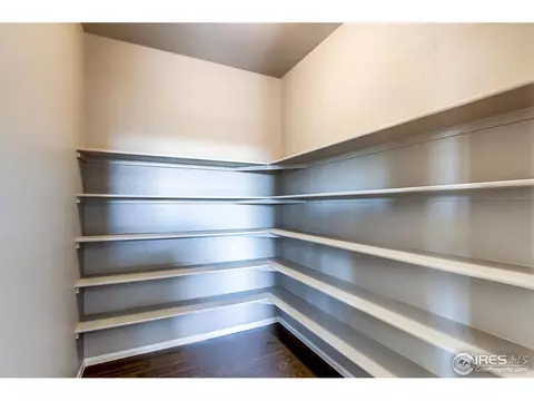 2269 Stonefish Dr, Windsor, CO 80550 photo 13