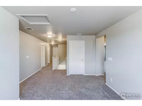 2269 Stonefish Dr, Windsor, CO 80550 photo 14