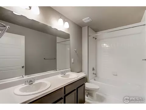 2269 Stonefish Dr, Windsor, CO 80550 photo 23