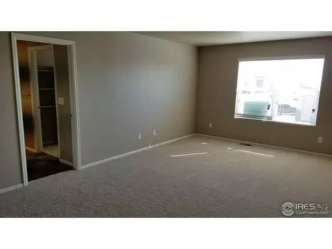 918 Pierson Ct, Windsor, CO 80550 photo 8