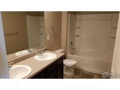 918 Pierson Ct, Windsor, CO 80550 photo 7