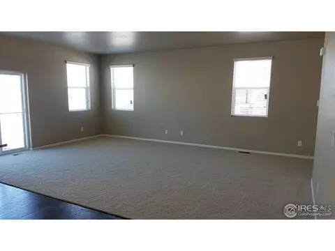 918 Pierson Ct, Windsor, CO 80550 photo 4