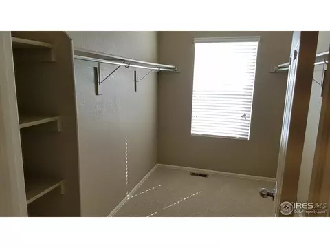 918 Pierson Ct, Windsor, CO 80550 photo 10