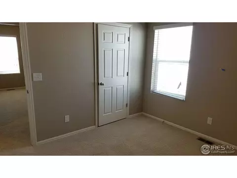 918 Pierson Ct, Windsor, CO 80550 photo 5