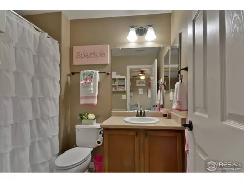 1576 Edenbridge Dr, Windsor, CO 80550 photo 26