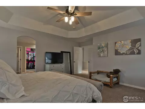1576 Edenbridge Dr, Windsor, CO 80550 photo 21