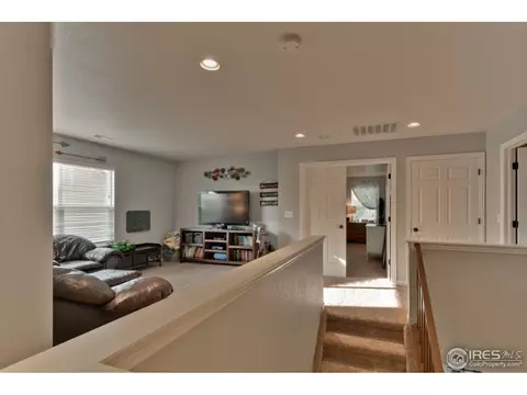 1576 Edenbridge Dr, Windsor, CO 80550 photo 19