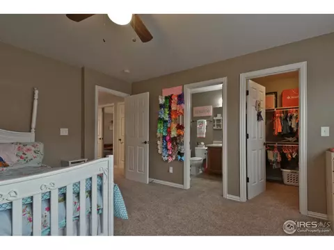 1576 Edenbridge Dr, Windsor, CO 80550 photo 27