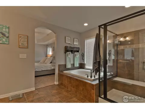 1576 Edenbridge Dr, Windsor, CO 80550 photo 22