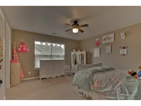 1576 Edenbridge Dr, Windsor, CO 80550 photo 25