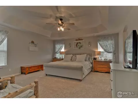 1576 Edenbridge Dr, Windsor, CO 80550 photo 20
