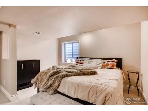 2147 S Grant St, Denver, CO 80210 photo 23