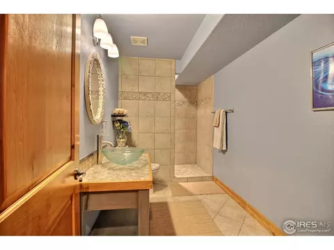 1453 Red Fox Cir, Severance, CO 80550 photo 25
