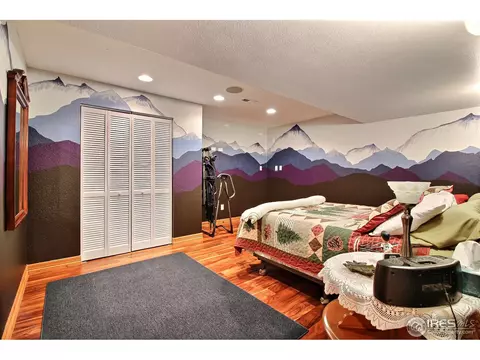 1453 Red Fox Cir, Severance, CO 80550 photo 27
