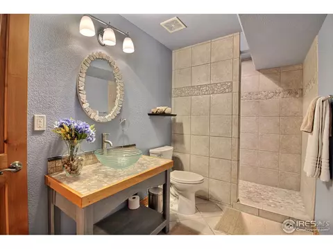 1453 Red Fox Cir, Severance, CO 80550 photo 26