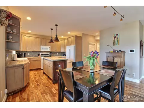 1453 Red Fox Cir, Severance, CO 80550 photo 10