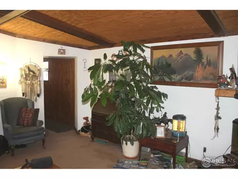 3225 Buckskin Trl, Laporte, CO 80535 photo 4