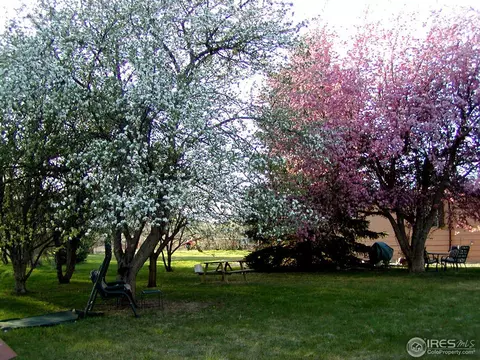 3225 Buckskin Trl, Laporte, CO 80535 photo 2