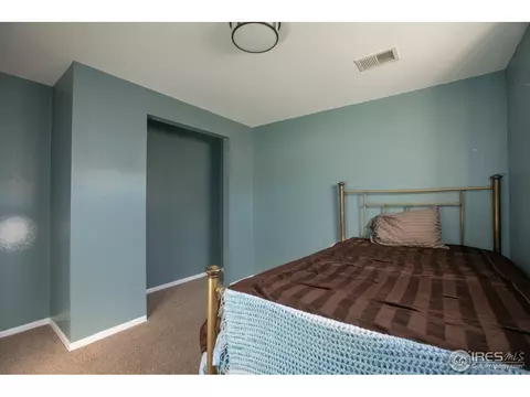 413 14th St, Windsor, CO 80550 photo 25