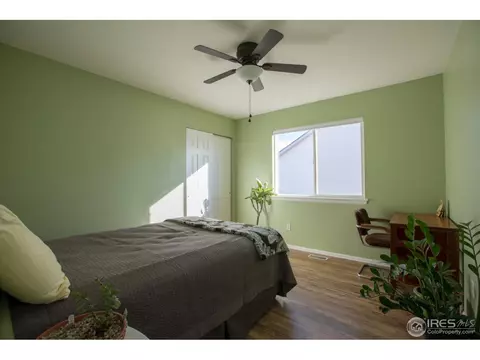 413 14th St, Windsor, CO 80550 photo 18
