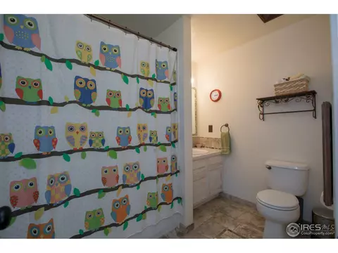 413 14th St, Windsor, CO 80550 photo 20