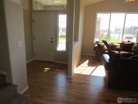 334 Mt Bross Ave, Severance, CO 80550 photo 9