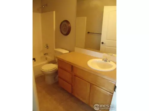 334 Mt Bross Ave, Severance, CO 80550 photo 19